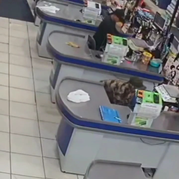 Bandidos causam terror em assalto a mercadinho no bairro do Novo Israel