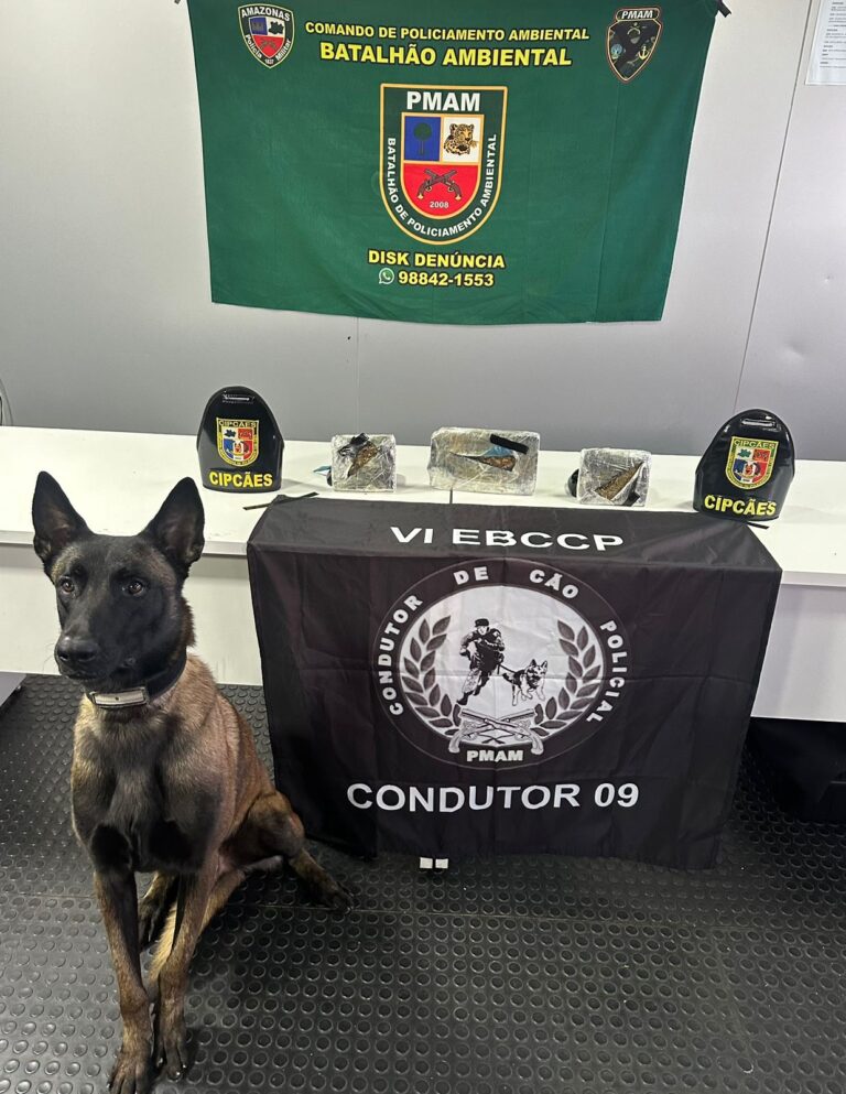 Base Arpão 2: Drogas avaliadas em R$ 270 mil são apreendidas no município de Barcelos