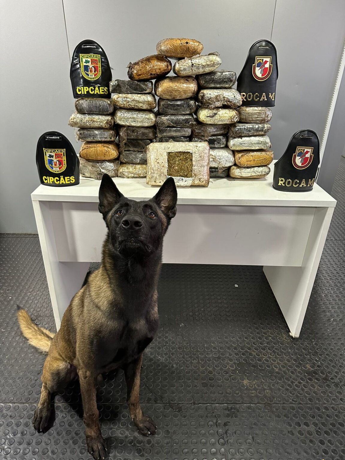 Base Arpão 2: Mais de 30 kg de entorpecentes são apreendidos em embarcação no município de Barcelos