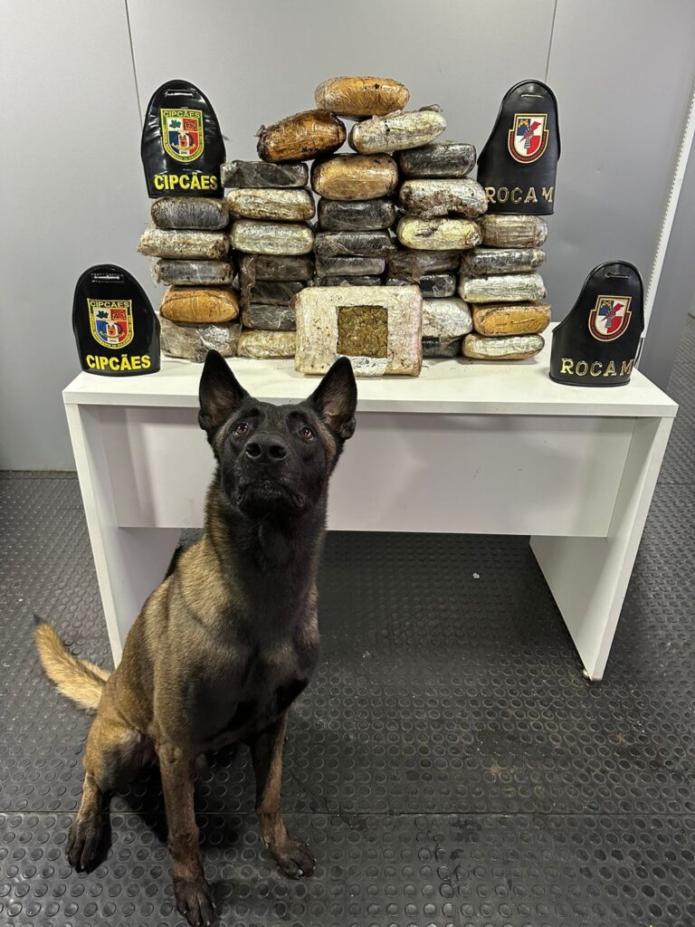 Base Arpão 2: Mais de 30 kg de entorpecentes são apreendidos em embarcação no município de Barcelos