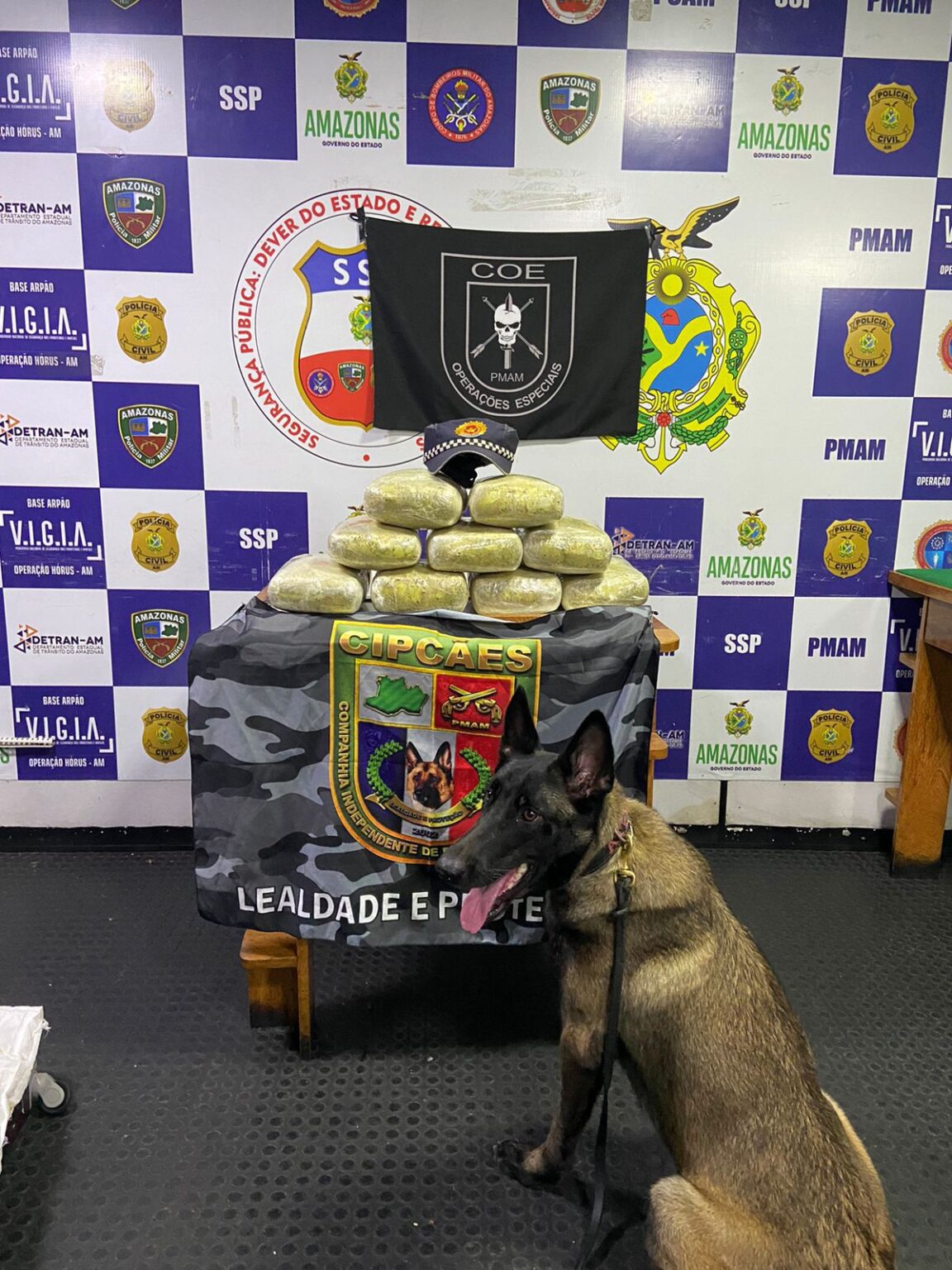 Base Arpão I: no município de Coari, Forças de Segurança apreendem droga avaliada em R$ 260 mil