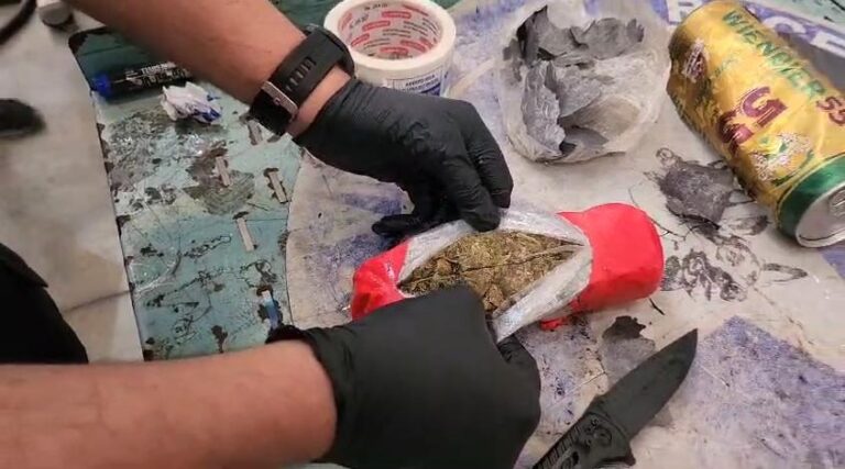 Receita Federal apreende maconha escondida em latas de cerveja em Manaus
