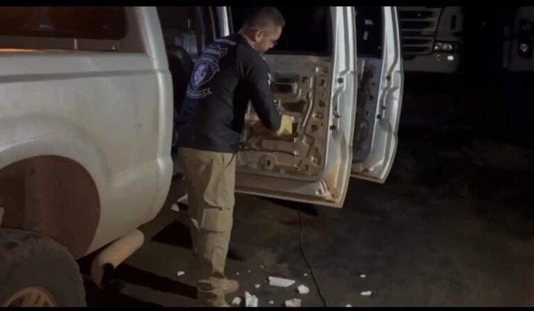 Vídeo: Polícia Civil-AM apreende mais de R$ 1 milhão em maconha tipo skunk em operação na zona leste de Manaus