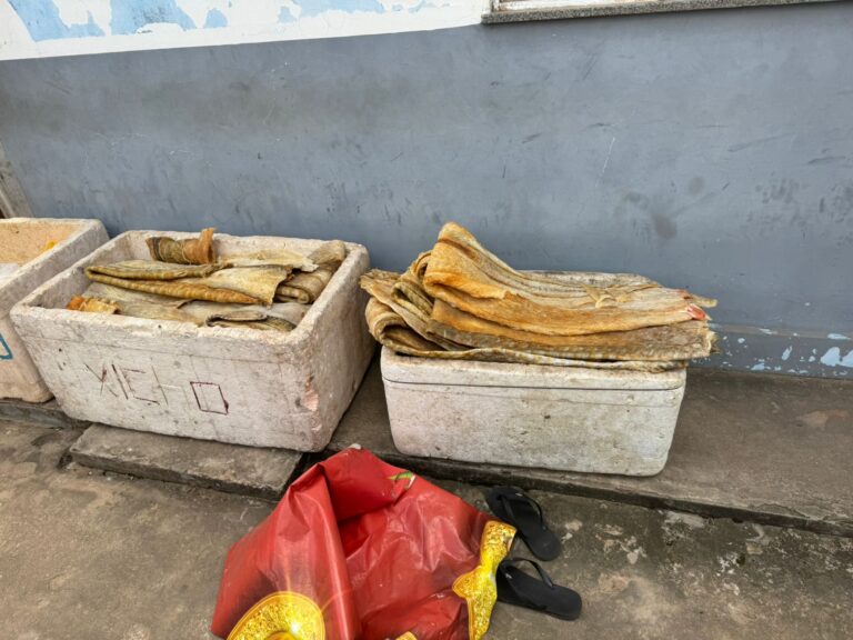 Em Ipixuna, PC-AM apreende cerca de meia tonelada de carne de caça e pescado ilegal