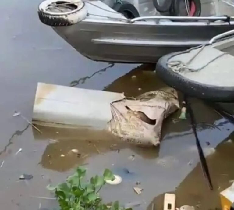 Corpo esquartejado é encontrado no rio próximo à Feira da Manaus Moderna, em Manaus