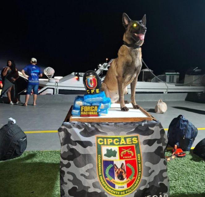 Base Arpão 1: Polícia prende homem que transportava droga camuflada em embarcação