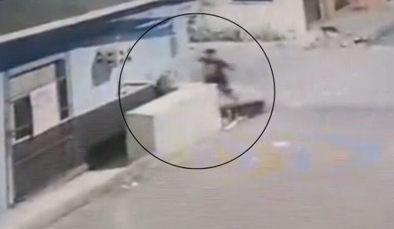 Homem esfaqueia cadela grávida em Manaus; vídeo registra crime