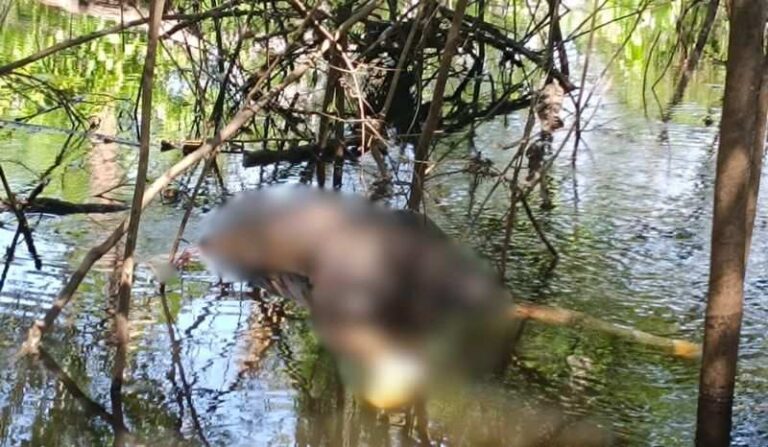 Homem é achado morto em lago do interior do Amazonas