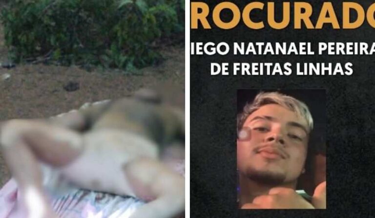 Jovem de 18 anos confessa assassinato de parceiro em área rural do AM