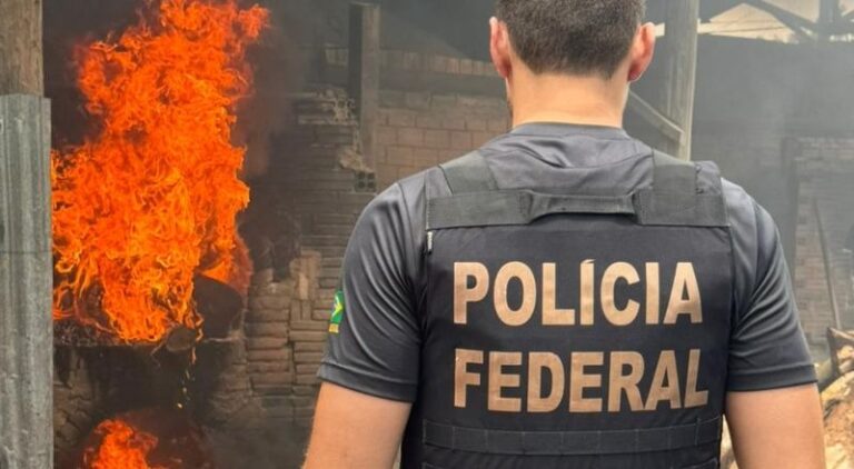 240 quilos de entorpecentes são eliminados em operação da Polícia Federal