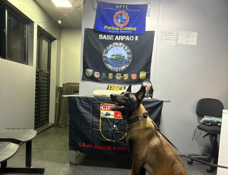 Polícia prende mulher com quase 5 kg de cocaína em embarcação no Amazonas