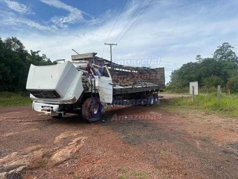 Acidente na BR-174: Caminhão boiadeiro tomba na altura do Km 113, em Presidente Figueiredo