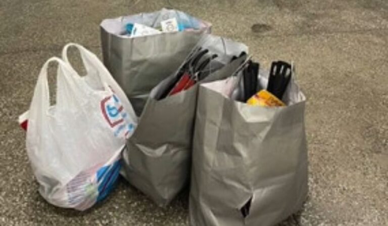 Mulher é presa após furtar mais de 110 itens de loja em shopping de Manaus