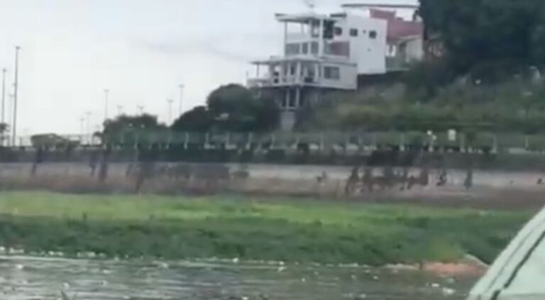 VÍDEO! Parte de corpo humano é encontrada em igarapé no bairro São Raimundo, em Manaus