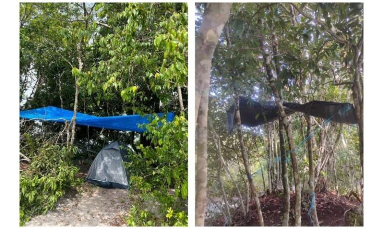 Terreno abandonado na Ponta Negra volta a ser alvo de denúncias por atos obscenos, em Manaus