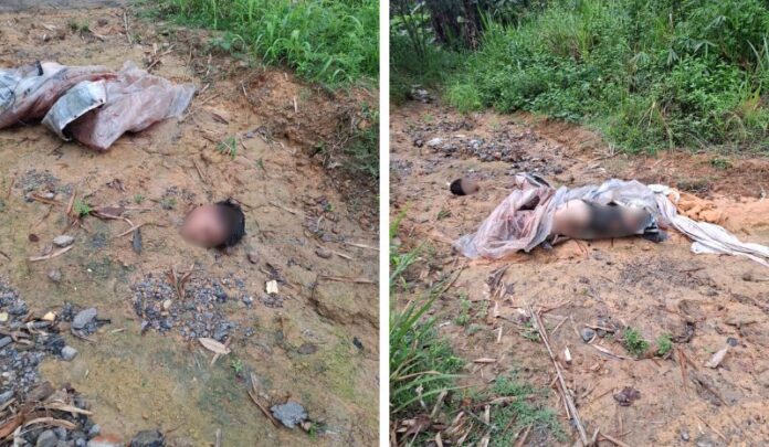 Corpo decapitado é encontrado em área de mata no bairro Tarumã, em Manaus