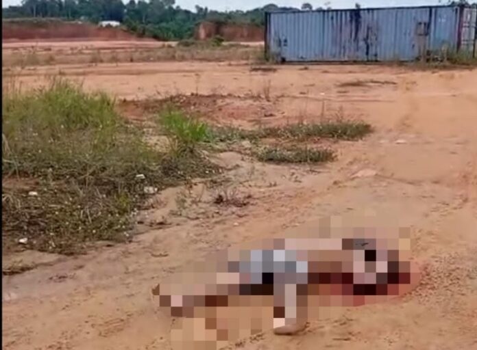 Corpo de homem com marcas de tiros na cabeça é encontrado em ramal da BR-174, em Manaus